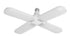 gid://shopify/MediaImage/25388430655606